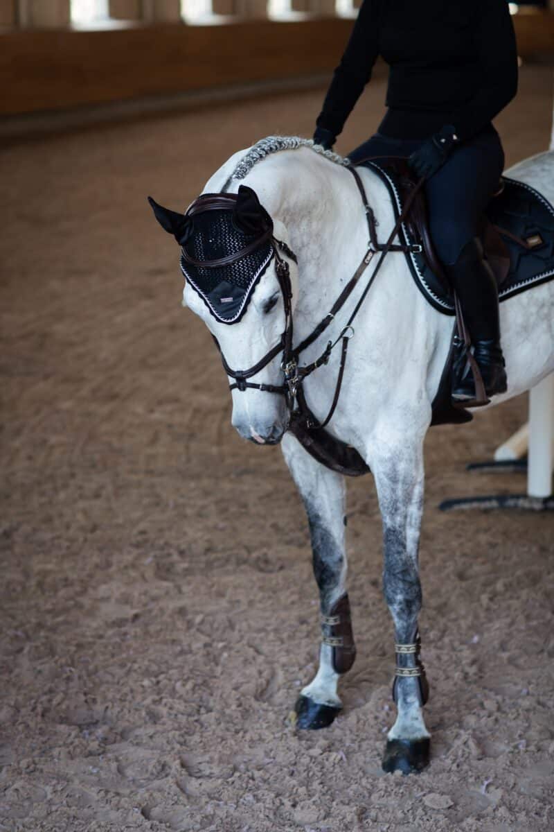 Equestrian Stockholm - Hut - Black Edition - Image 2