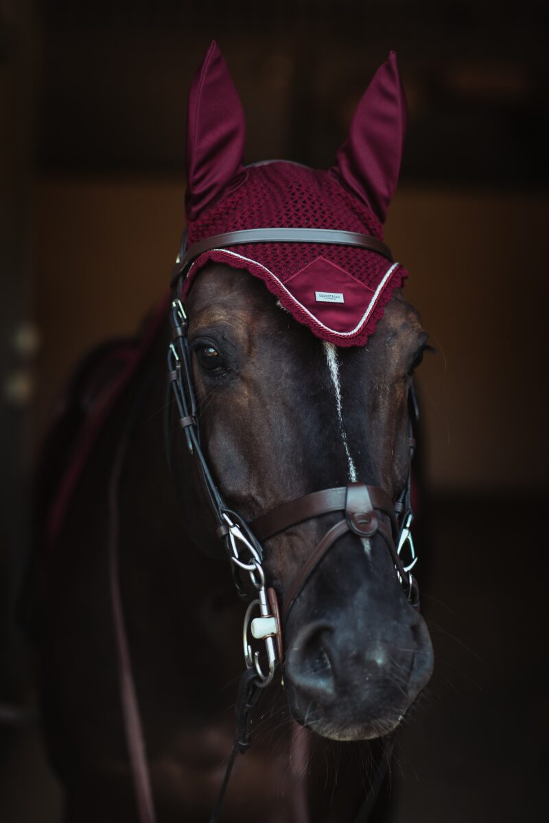 Equestrian Stockholm - Hut - Bordeaux - Image 2