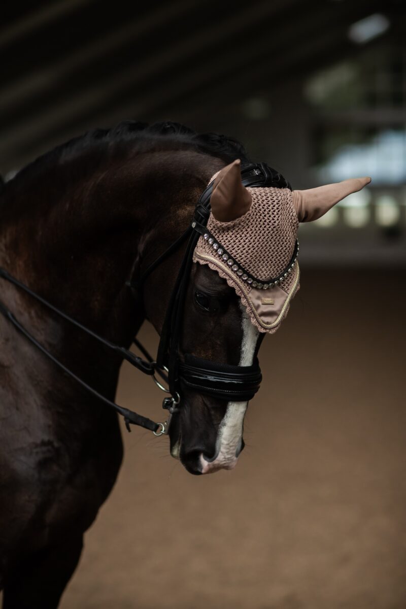 Equestrian Stockholm - Hut - Champagne - Image 2