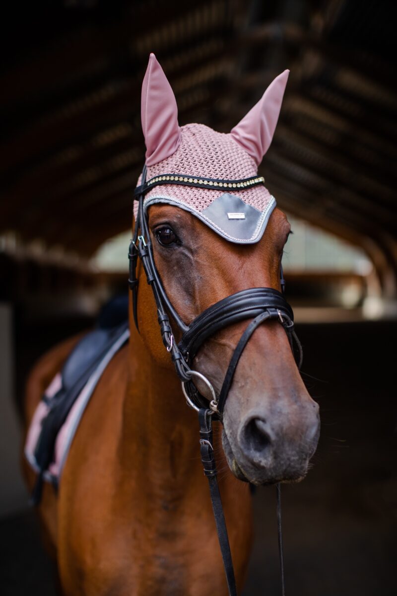 Equestrian Stockholm - Hut - Pink - Image 2