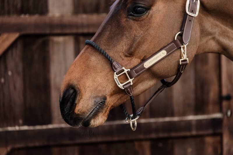 Kentucky Horsewear - Lædergrime - Brown - Billede 2