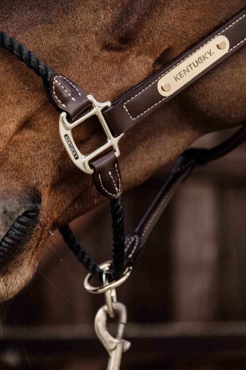Kentucky Horsewear - Lædergrime - Brown - Billede 3