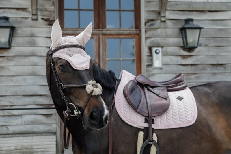 Kentucky Horsewear - Underlag - Velvet pearls spring - Billede 9