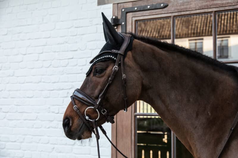 Kentucky Horsewear - Hut - Big stone & pearl - Billede 5