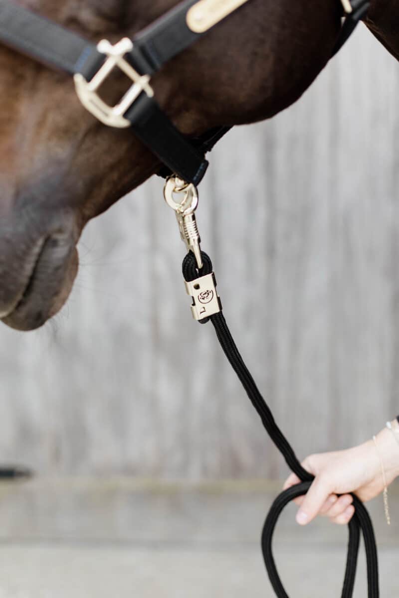 Kentucky Horsewear - træktov m. panikhage - Sort - Billede 2