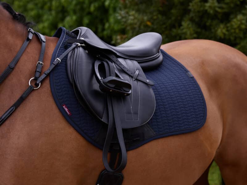 Lemieux - Essence Eurojump Square - Flere farver - Billede 3