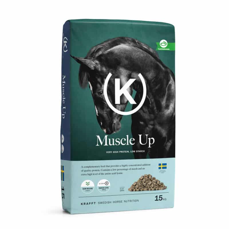 Krafft - MUSCLE UP