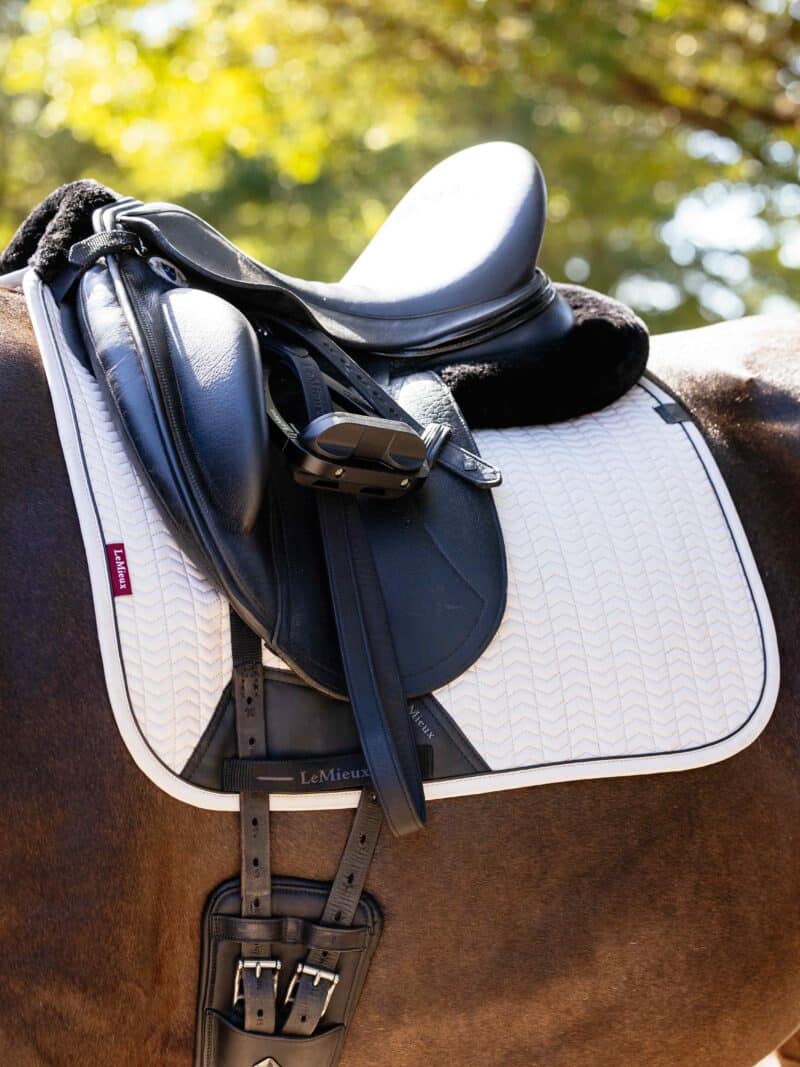 Lemieux - Essence Dressage Square - Flere farver - Billede 3