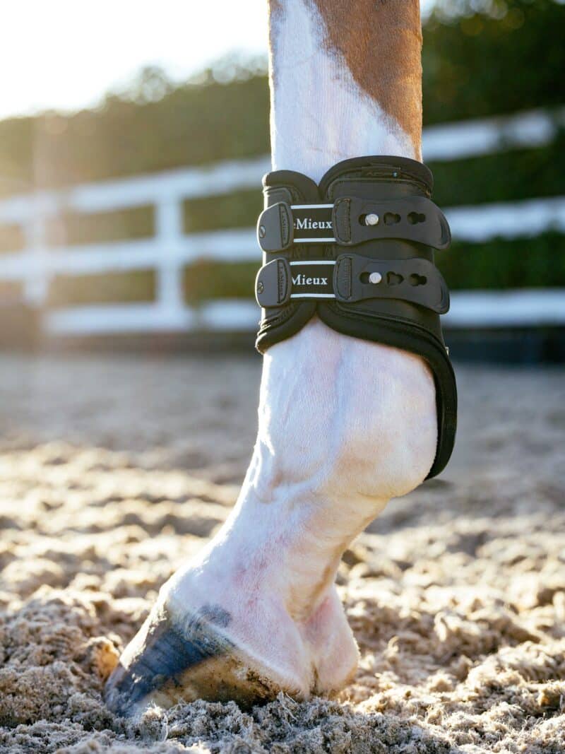 Lemieux - EXO Flex Fetlock Boot - Black/Silver - Billede 5