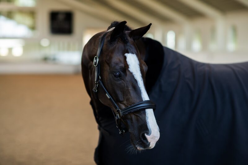 Equestrian Stockholm - Anatomiske Lædergrime - Black Edition - Image 2
