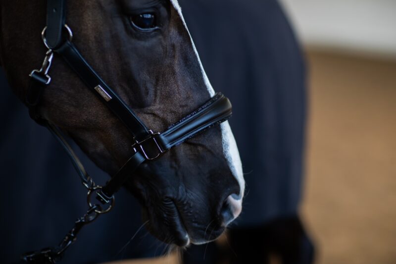 Equestrian Stockholm - Anatomiske Lædergrime - Black Edition - Image 3