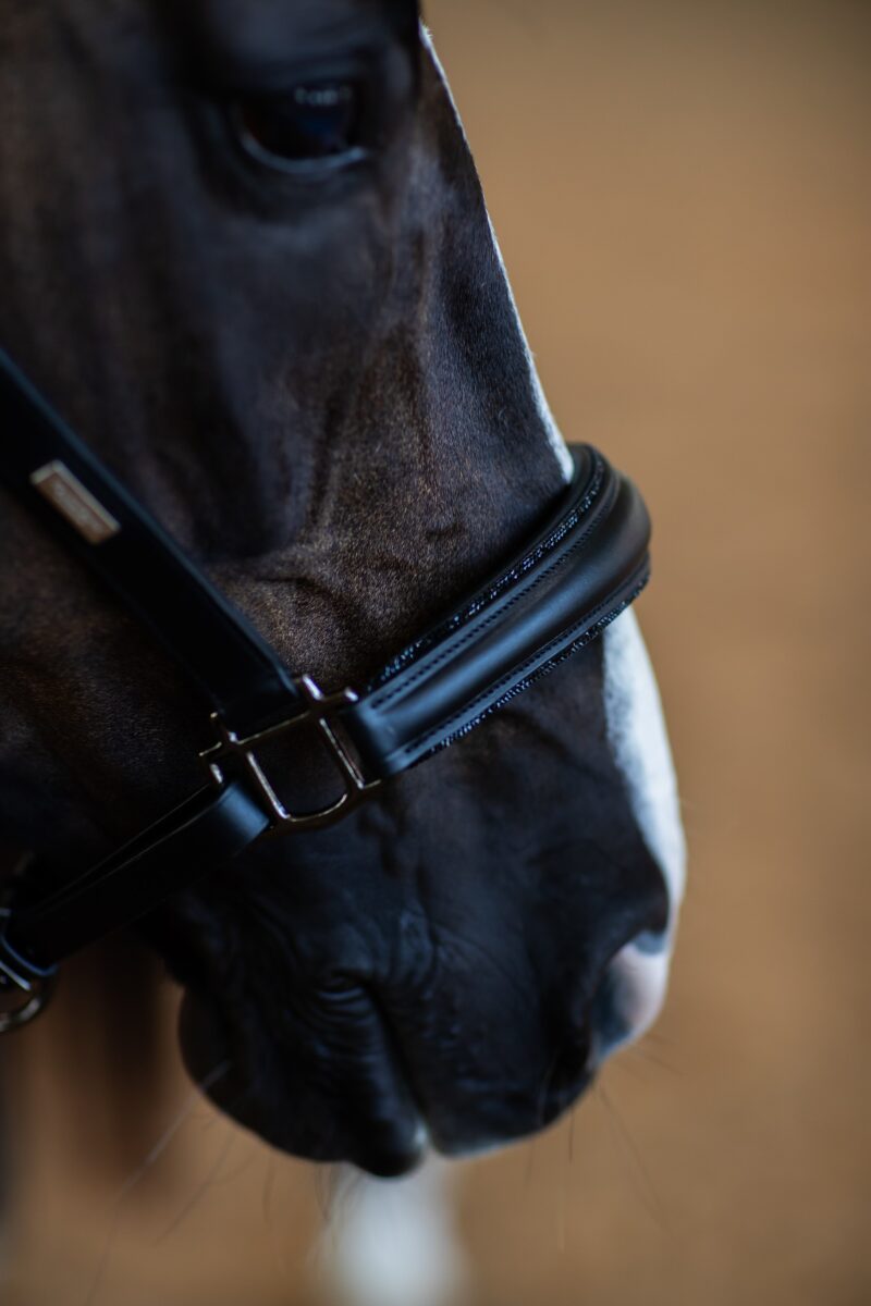 Equestrian Stockholm - Anatomiske Lædergrime - Black Edition - Image 4
