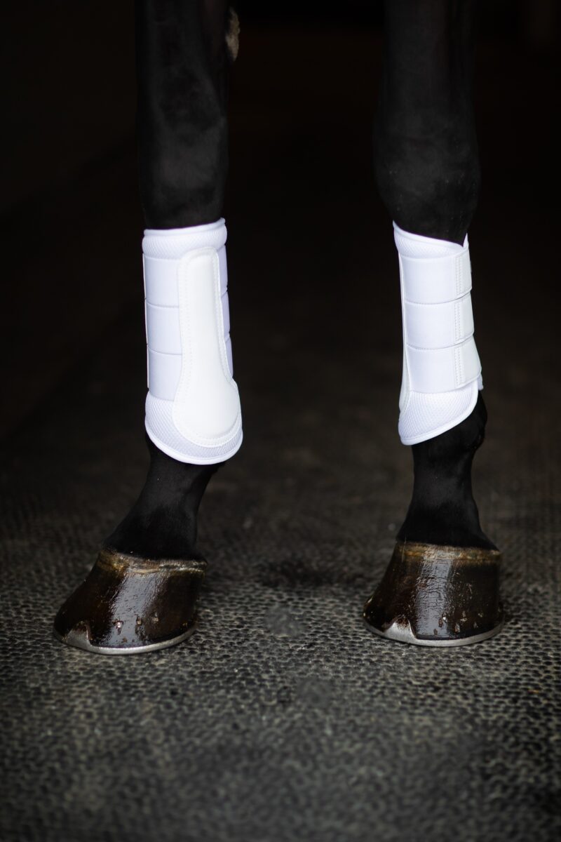 Equestrian Stockholm - Classic Mesh Brushing Boots - White Silver - Image 3